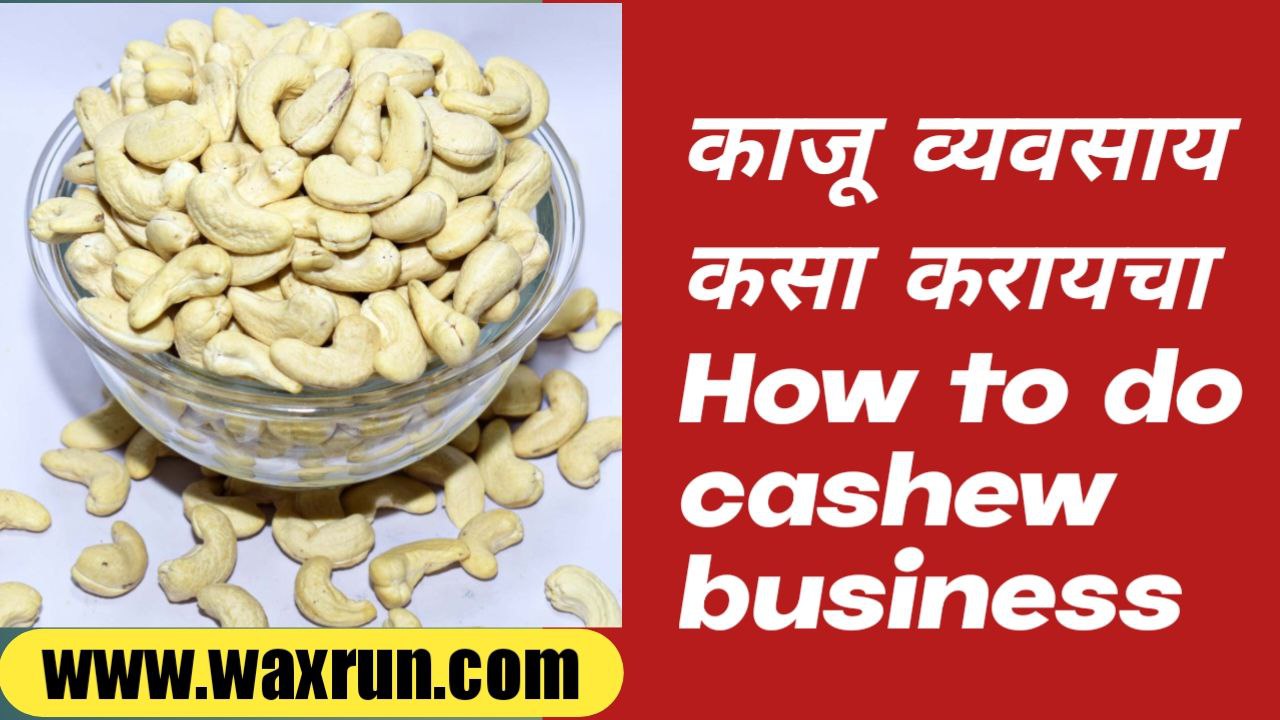 How to do cashew business