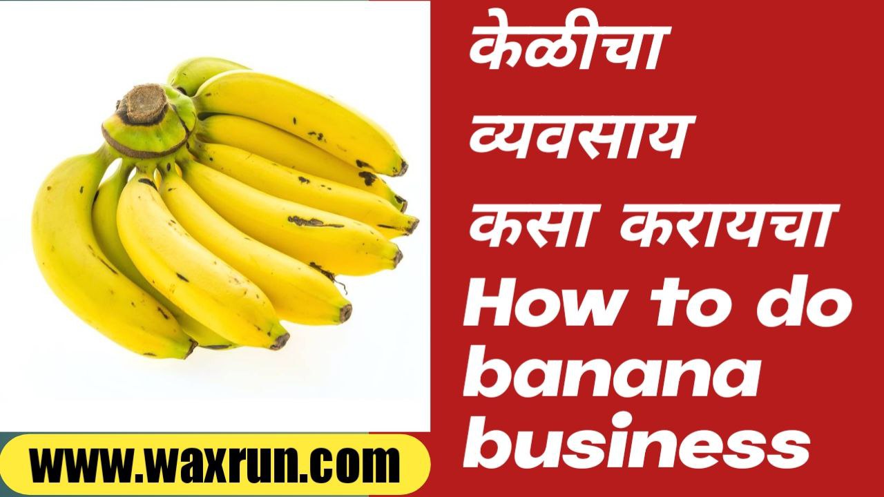 How to do banana business
