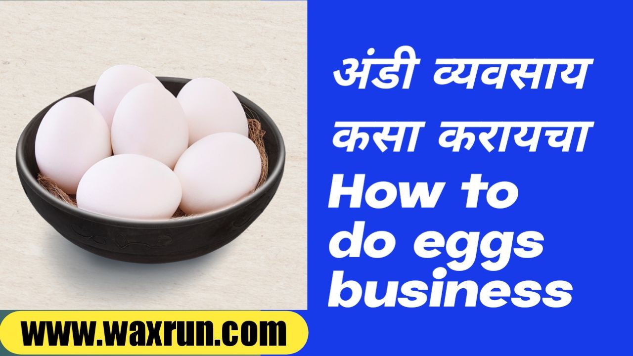 How to do eggs business